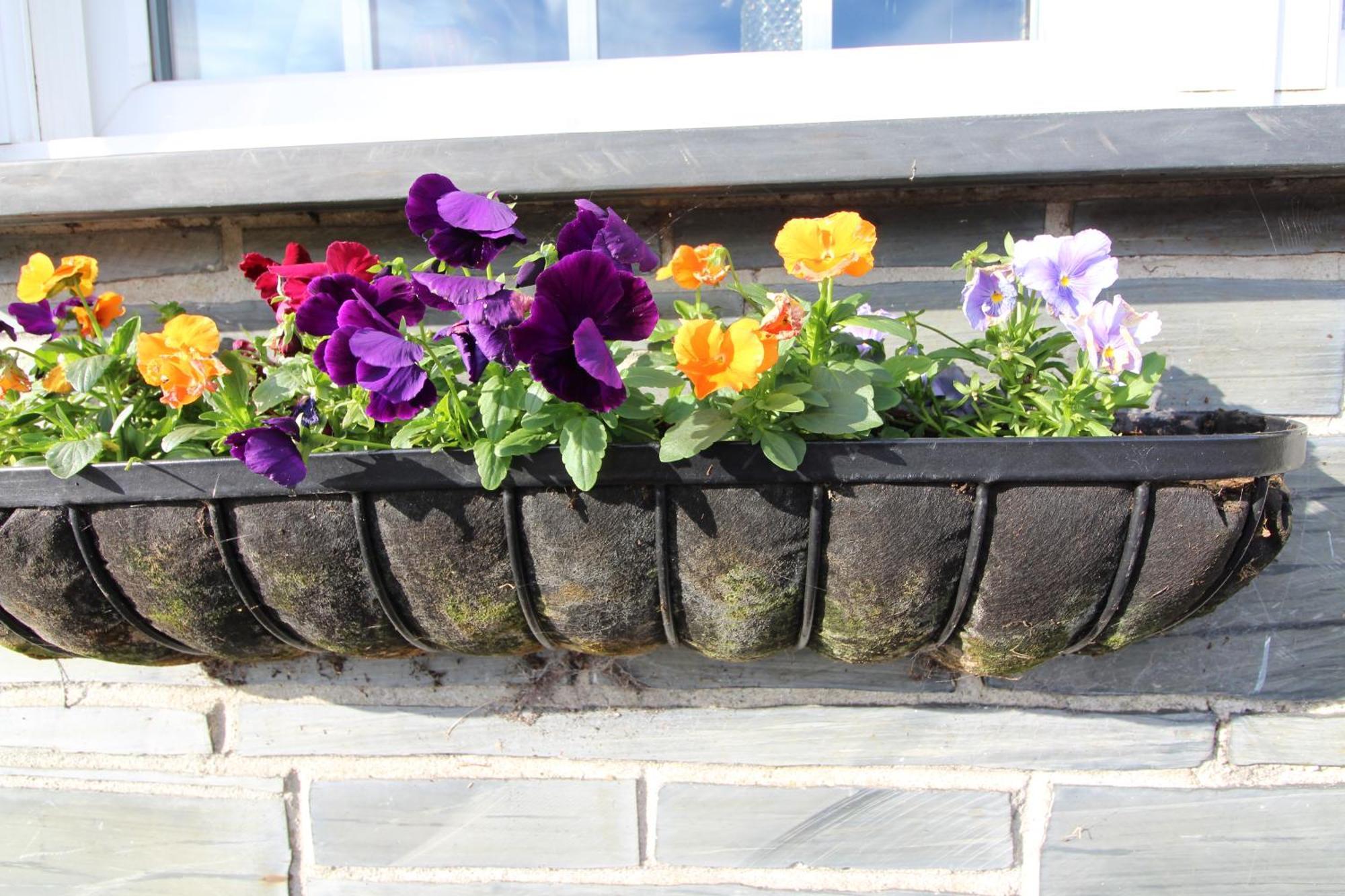 Melorne Farm Guest House Camelford Exterior foto